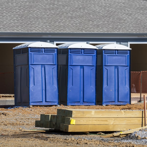 are there different sizes of portable toilets available for rent in Fredenberg MN